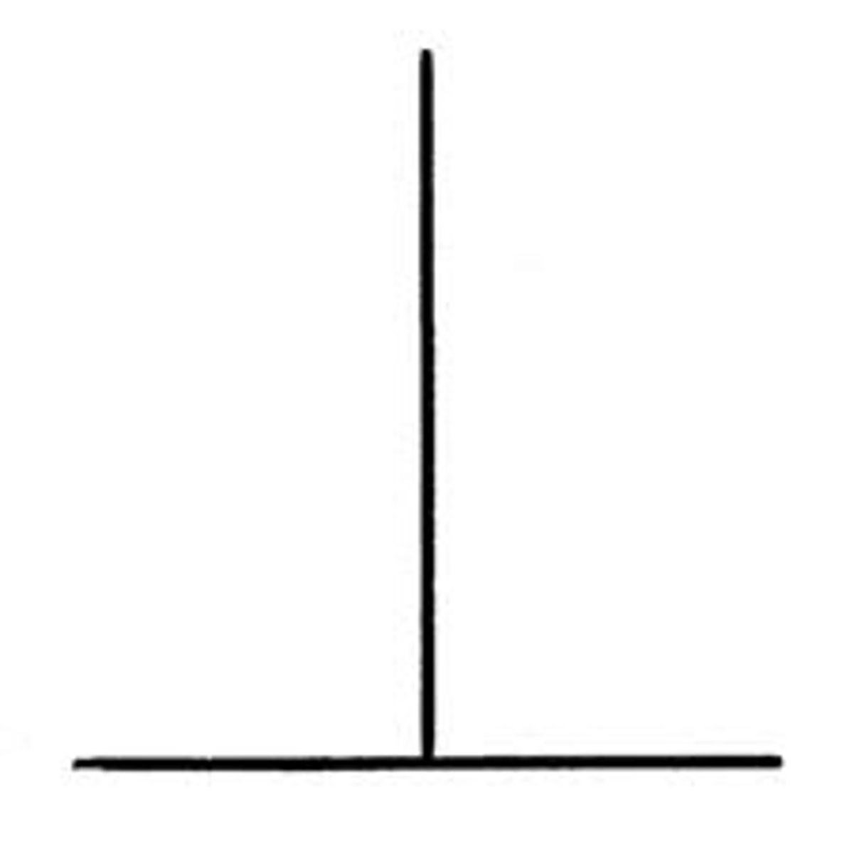 <p>Objects with the same dimensions appear longer/taller than they do wider.</p>