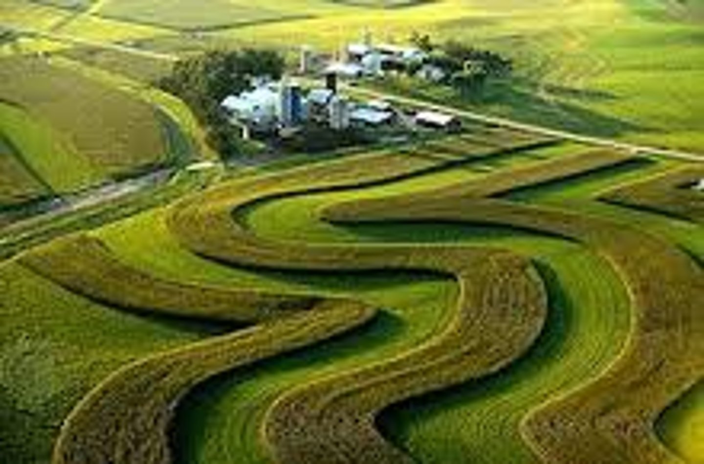 <p>Plowing along the contours of the land in order to minimize soil erosion.</p>