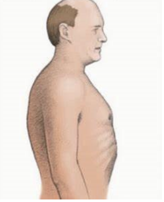 <p><span>How would you document the shape of this chest?</span></p><p></p>