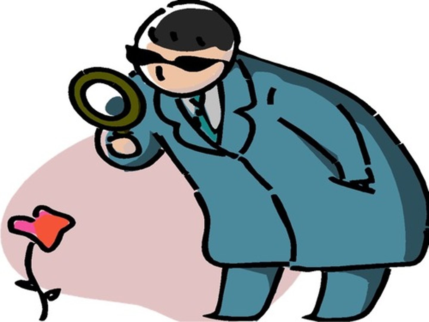 <p>looks at, examines</p>