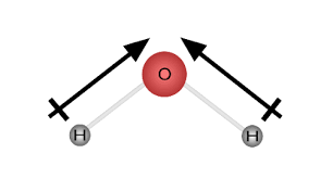 <p>points towards more electronegative atom in a bond</p>