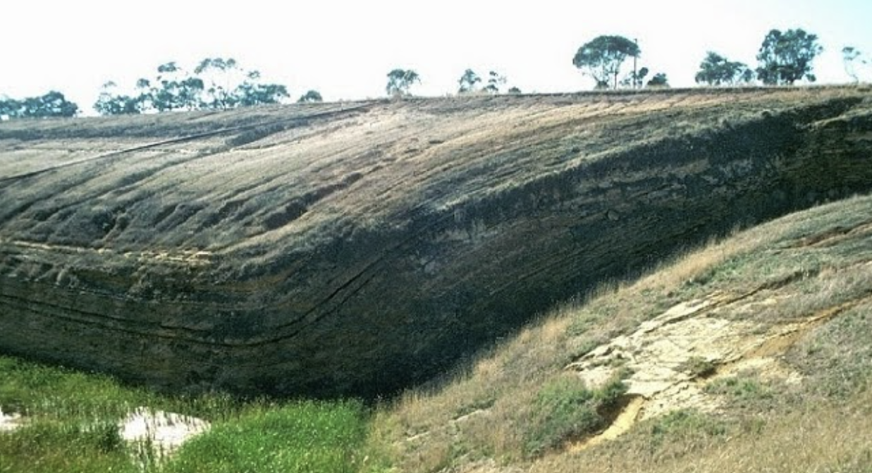 <p>Monocline folds</p>