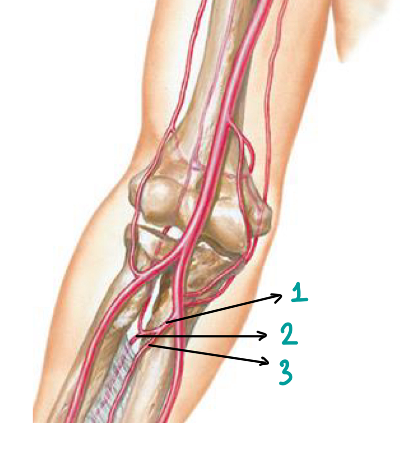 <p>1</p>