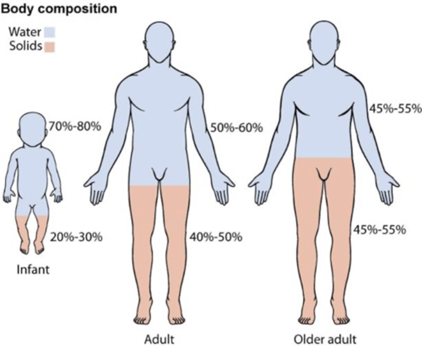 <p>Kidneys adjust total body-</p>
