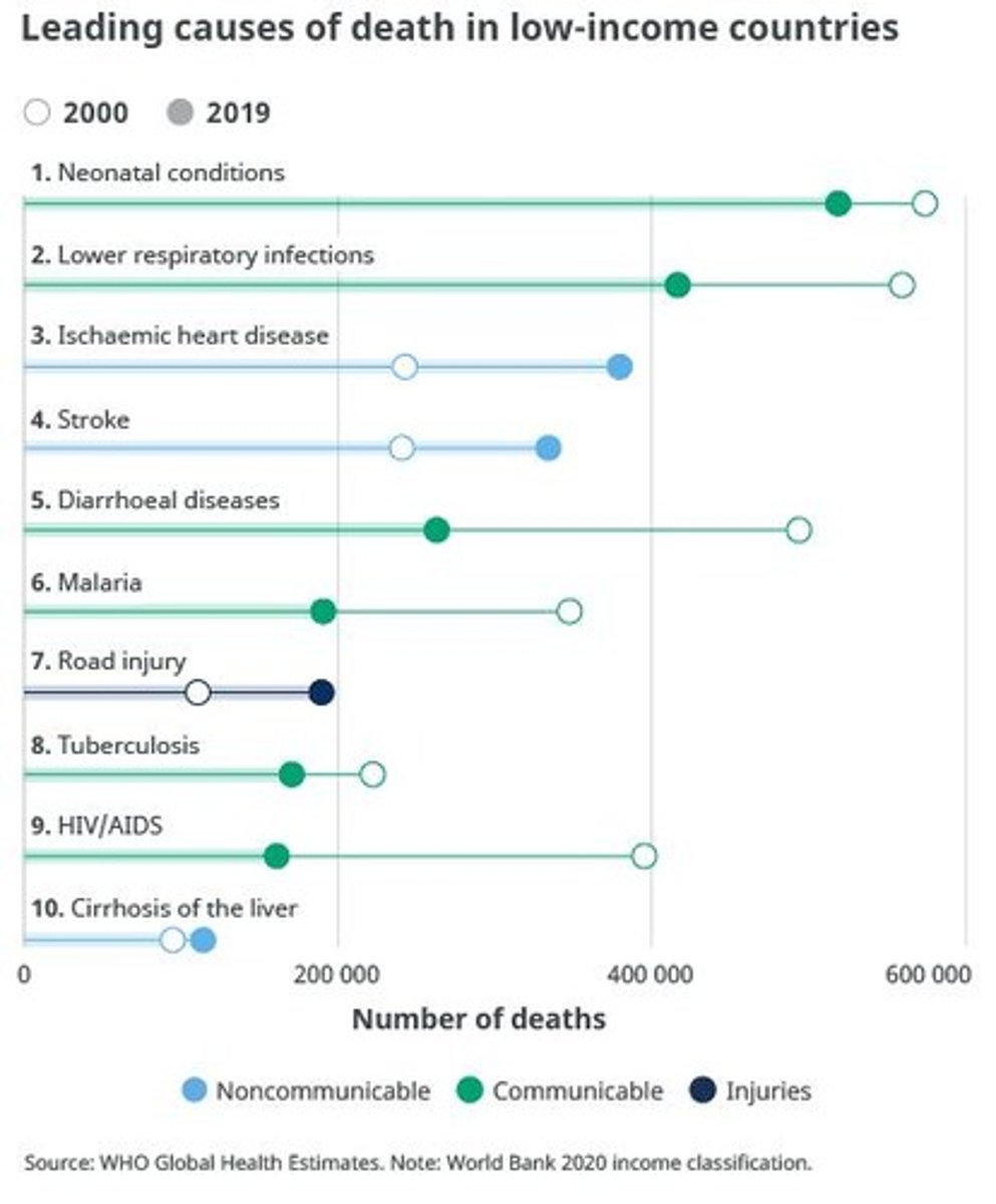 <p>Perinatal conditions, Lower respiratory infections, Ischemic heart disease.</p>