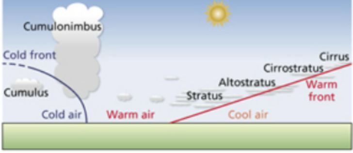 <p>stratus: layed appearance, cumulus: thick puffy appearance, cirrus: thin wispy streak-like</p>