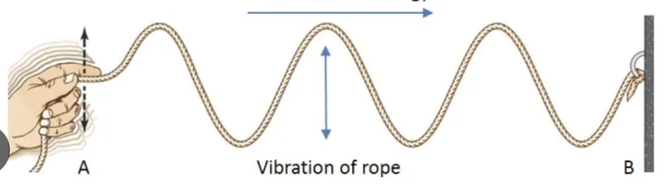 <p>when oscillations are perpendicular to the direction the wave travels </p>