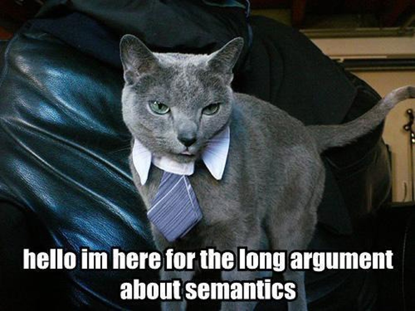 <p>the study of meaning in language, focusing on how words, phrases, and sentences convey meaning.</p>