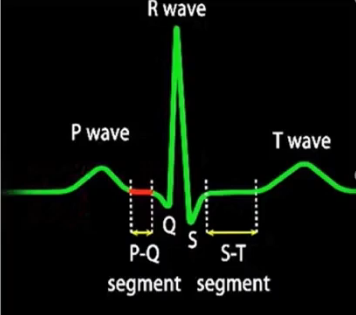 <p>What is the PQ section</p>