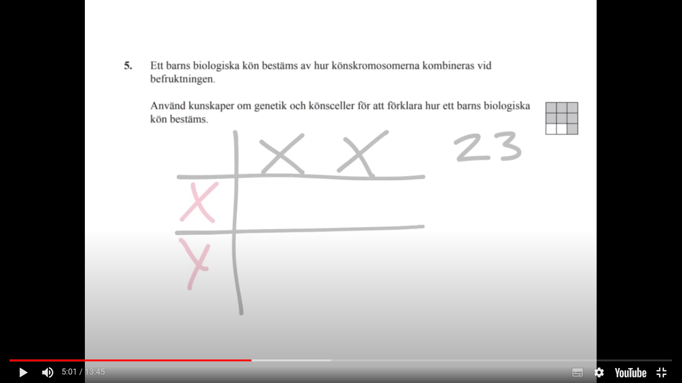 <p>Hur bestäms ett barns biologiska kön</p>