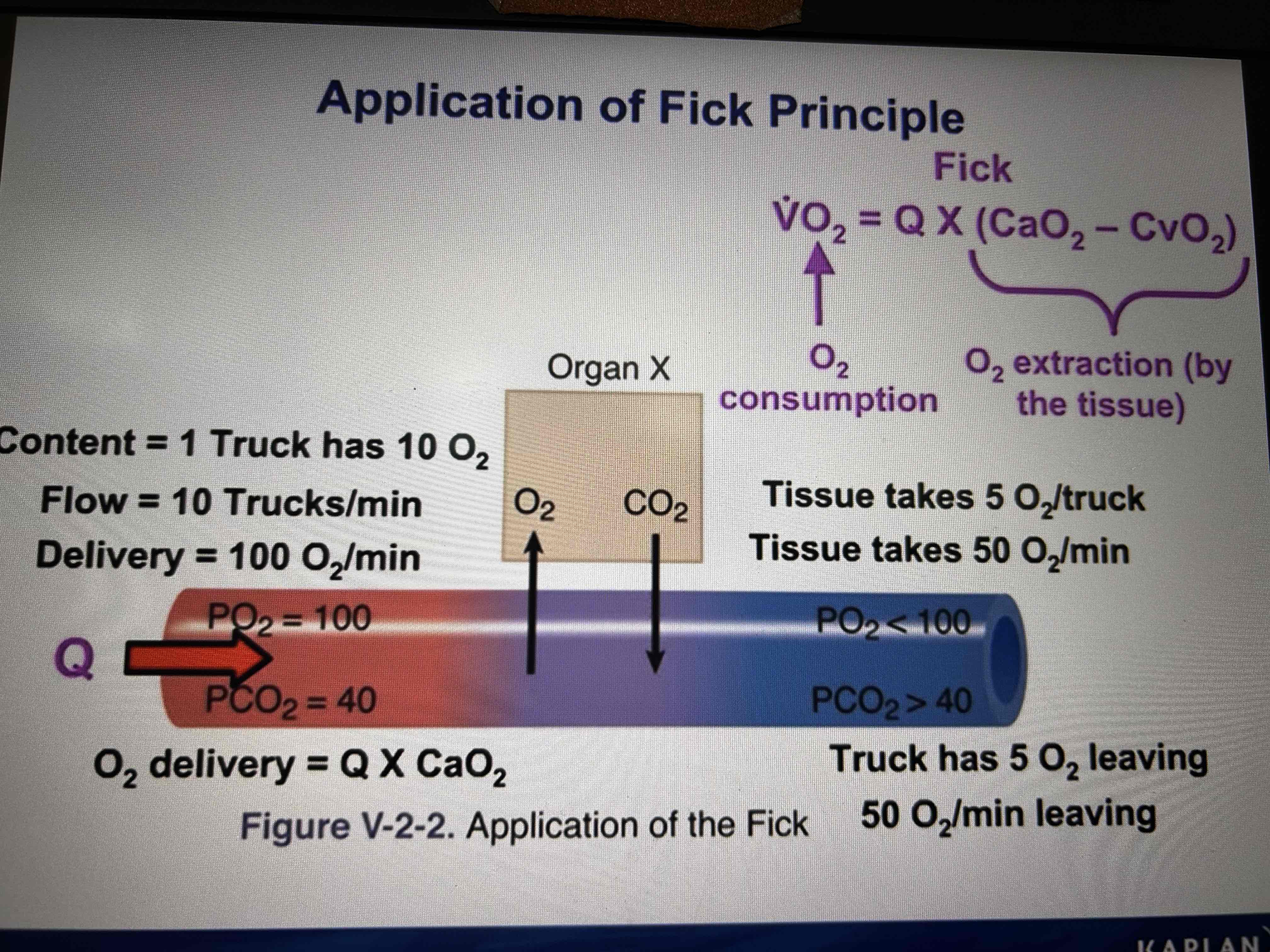 <ol><li><p>Used to calculate blood flow</p></li><li><p>Flow=uptake (consumption)of oxygen/A-V (oxygen content difference across the organ </p></li><li><p>Can calculate oxygen consumption (VO2)</p><p>VO2=CO*(CaO2 (total arterial oxygen content )-CvO2 (total venous oxygen content))</p><p>Pulmonary venous O2 content - 0,2 ml O2 per ml blood</p></li><li><p>For any given O2 consumption, a decrease in delivery results in increased lactic acid production and possible hypoxia damage, decrease in the amount of the venous O2</p></li></ol>