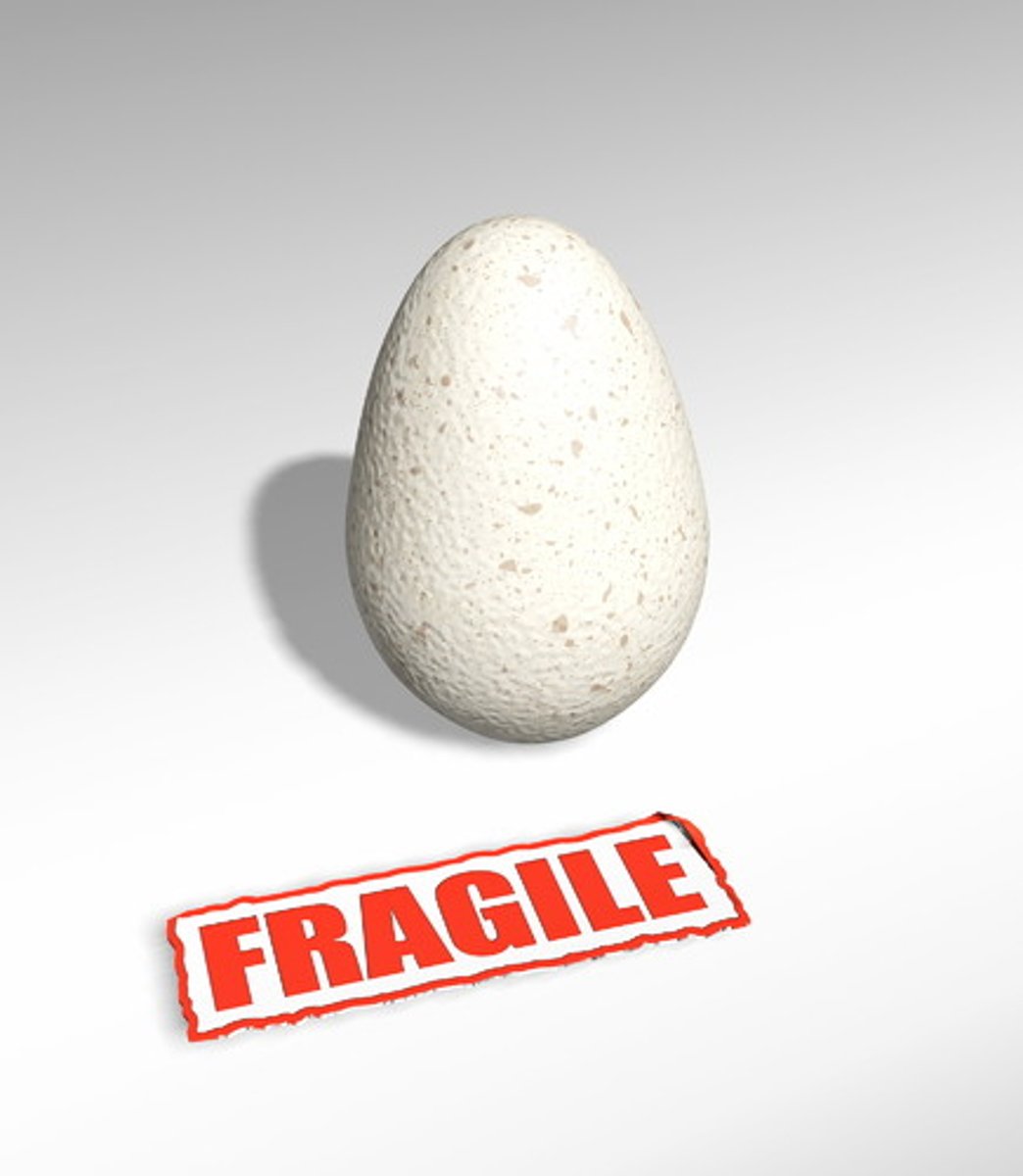 <p>Weak or insubstantial (fragile, shaky)</p>