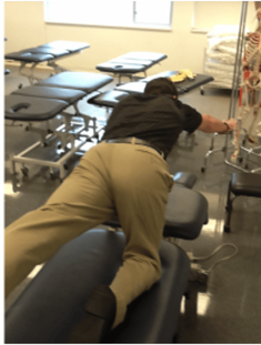 <p>1. single straight arm hold</p><p>2. single straight leg hold</p><p>3. CL straight arm and leg hold</p><p>assesses ability of the spinal rotators and multifidus to stabilize the trunk during dynamic extremity movements</p>