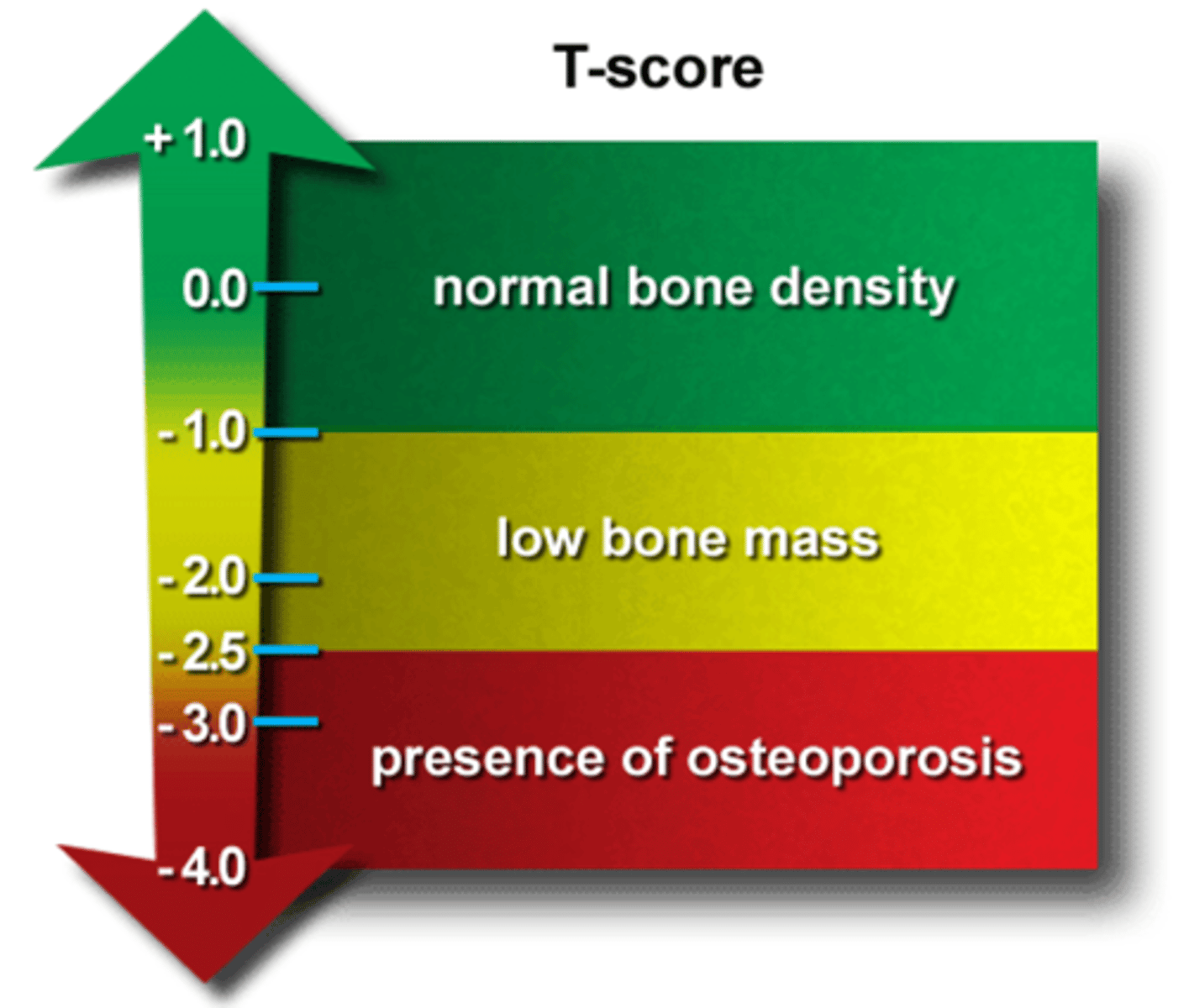 <p>hip and vertebral fractures</p><p>**Think of being more at risk for osteoporosis** </p>