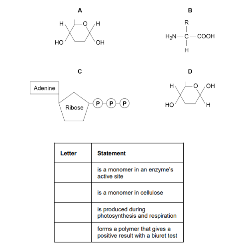 <p>The diagram shows the structure of molecules found in organisms</p><p>Complete the table by putting the correct letter, A, B, C or D, in the box next to each statement. Each letter may be used once, more than once, or not at all. (4 marks)</p>