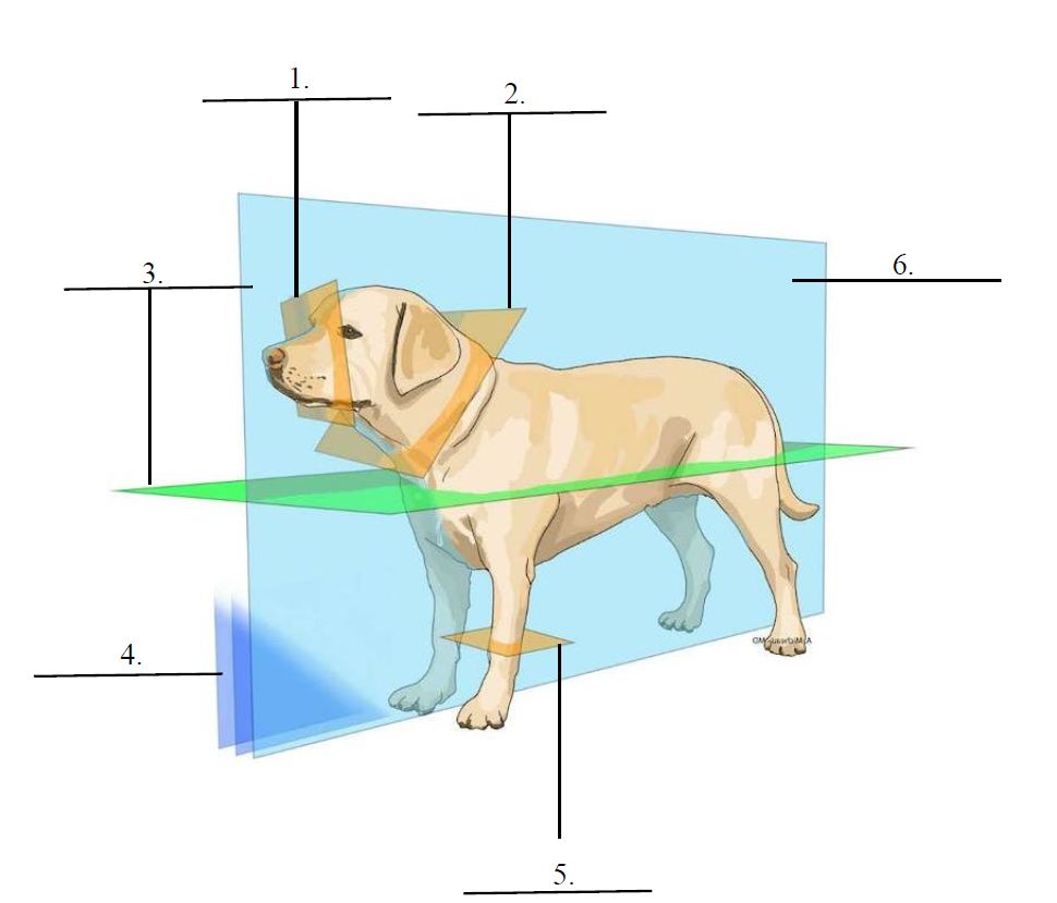 <p>4.</p>