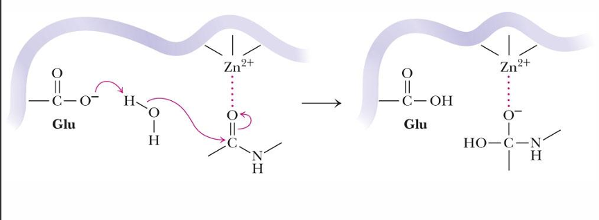 <p>explain what is happening in this reaction</p>