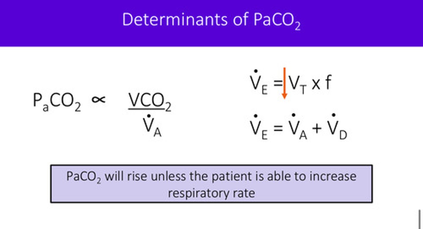 <p>if ventilation is low (like in the case of neuromuscular weakness due to shallow breathing and inability to increase frequency), P<sub>a</sub>CO<sub>2</sub> will increase because it cannot  exchange out at the alveoli</p><p>recall that minute ventilation has 2 compartments: dead space ventilation + alveolar ventilation (VE = VD + VA)</p>