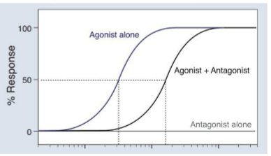 <p>Competitive/Non-C Antagonists</p>