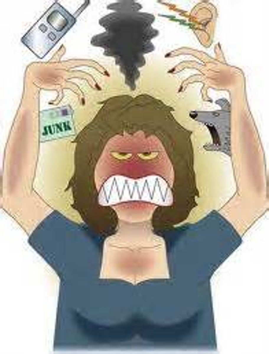 <p>something that annoys you particularly</p><p>Loud chewing is my biggest ----.</p>