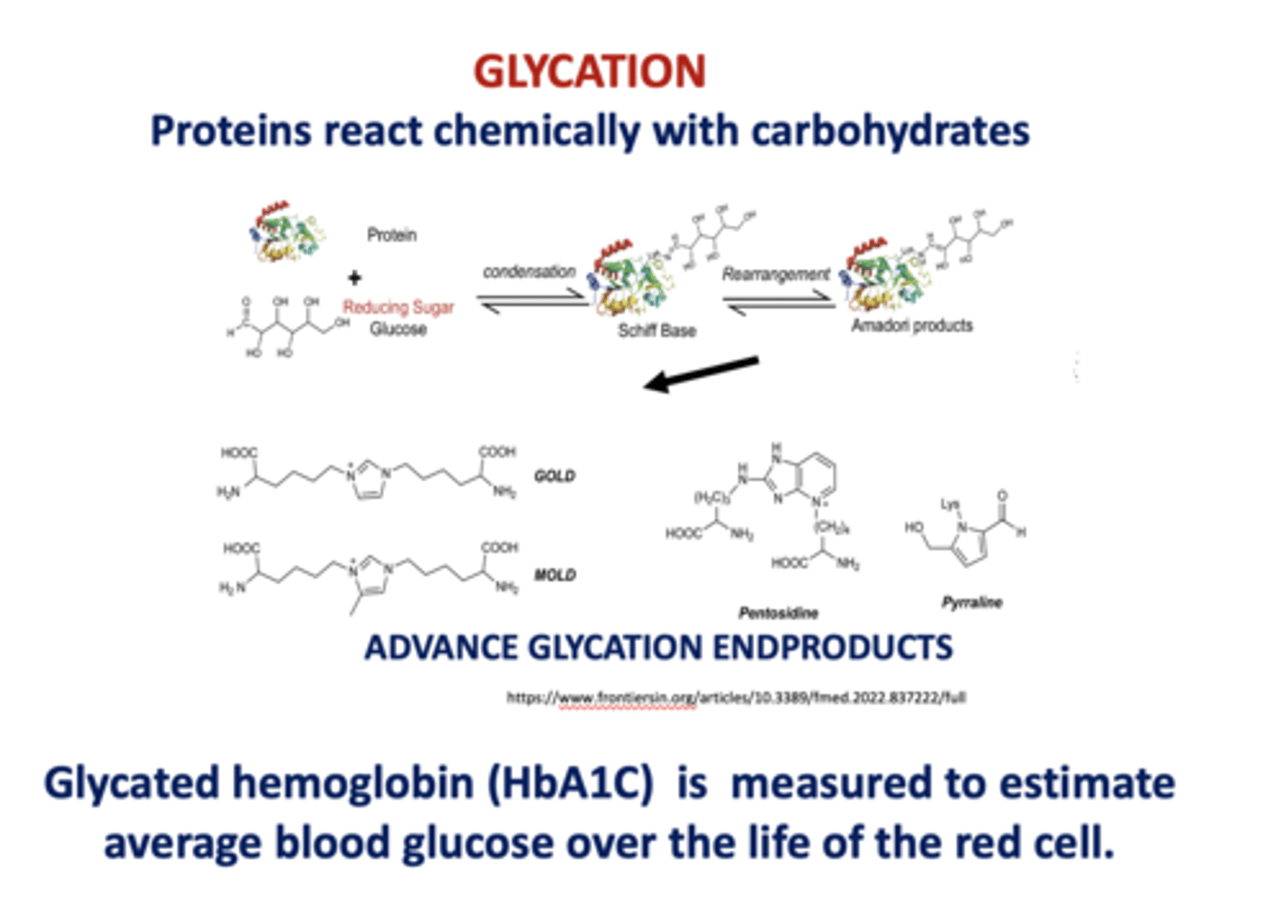 <p>HbA1C (glycated hemoglobin)</p>