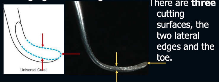 <p>2 lateral edges + toe</p>