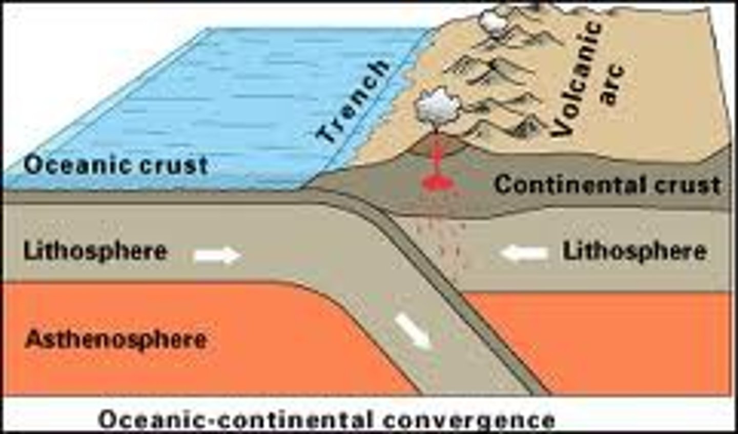 <p>- oceanic plate collides with continental plate</p><p>- denser oceanic plate subducts beneath the continental plate forming oceanic trench at subduction zone</p><p>- subducting plate sink into mantle and high pressure forces water out of its oceanic crust, water lowers the mp of the overlying mantle causing it to melt , magma formed</p><p>- magma rises through weak crust and forming vocalones at continental plate</p>