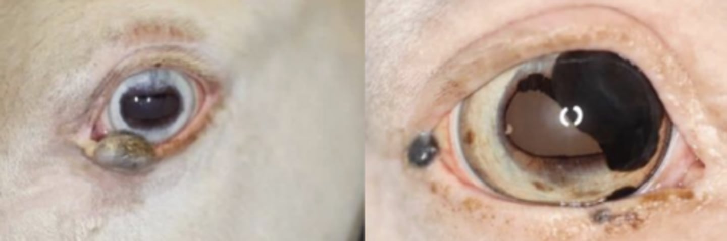 <p>What is this?</p>