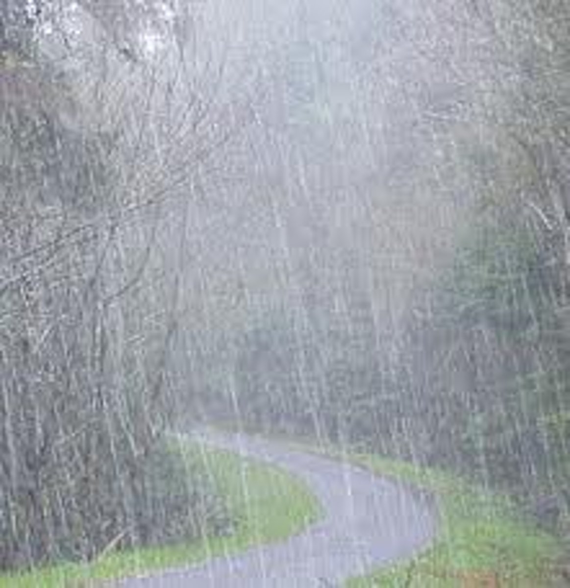 <p>It's raining heavily</p>