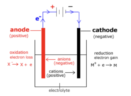 <ul><li><p>thermodynamically unfavorable reaction</p></li><li><p>anode and cathode in the same chamber</p></li><li><p>power source needed (no salt bridge)</p></li><li><p>uses electrical energy</p></li><li><p></p><ul><li><p>voltage values</p></li></ul></li><li><p>electrons flow</p><ul><li><p>anode → power source → cathode</p></li></ul></li><li><p>occurs in ionic solution or liquid</p></li><li><p>cations → cathode and anions → anode</p></li></ul>