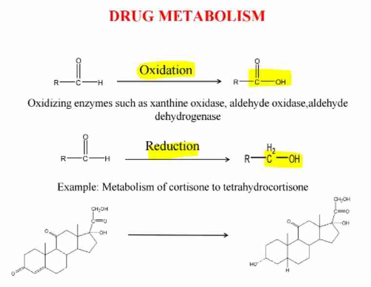 <p><span>Catalyzed by enzymes like aldehyde dehydrogenase.</span></p>