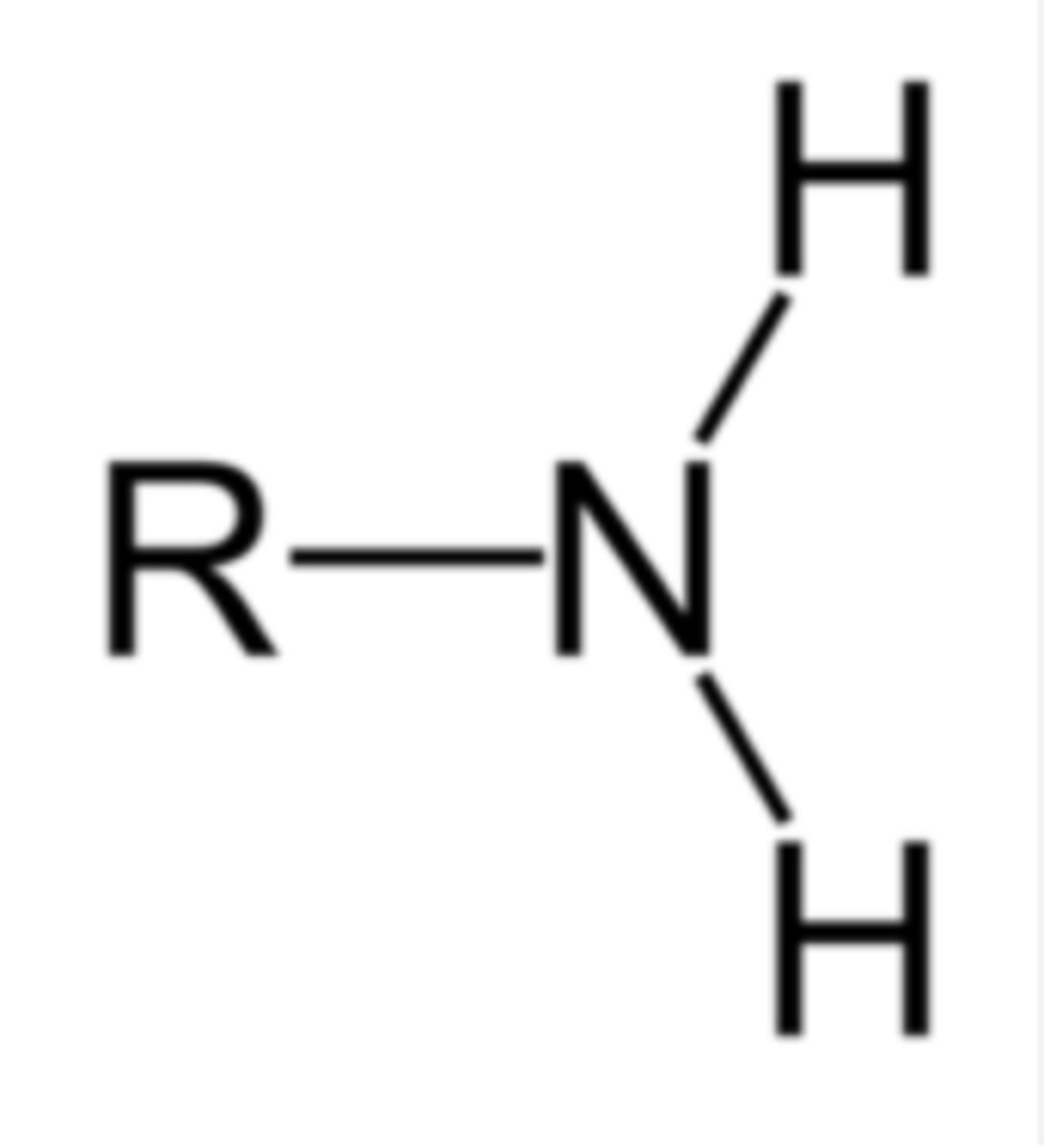 <p>NH2 (amino group) - typically N has a lone pair of E-'s</p>