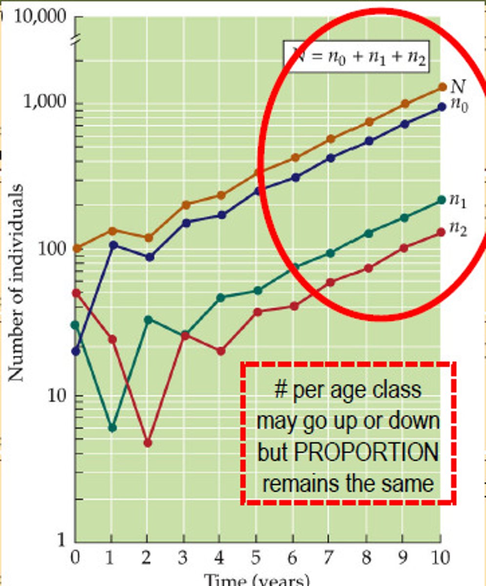 <p>làm ổn định</p>