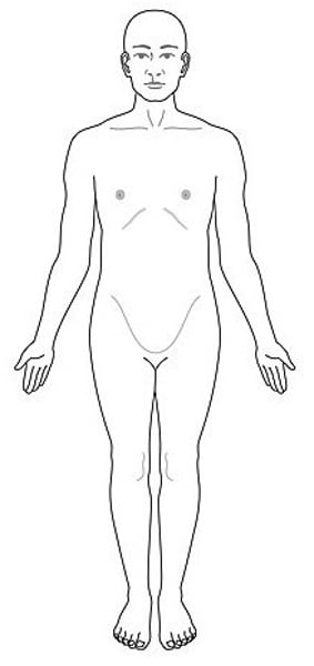 <p>body standing upright, feet at shoulder width and parallel, toes forward, upper limbs are along each side and the palms of the hands face forward</p>
