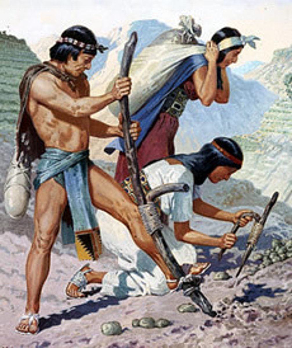 <p>economic system in Inca society where people paid taxes with their labor and what they produced; later exploited by the Spanish as they forced Incas to mine silver</p>