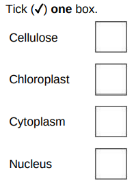 <p>An algal cell is green. </p><p>Which part of an algal cell makes it green in colour?</p>