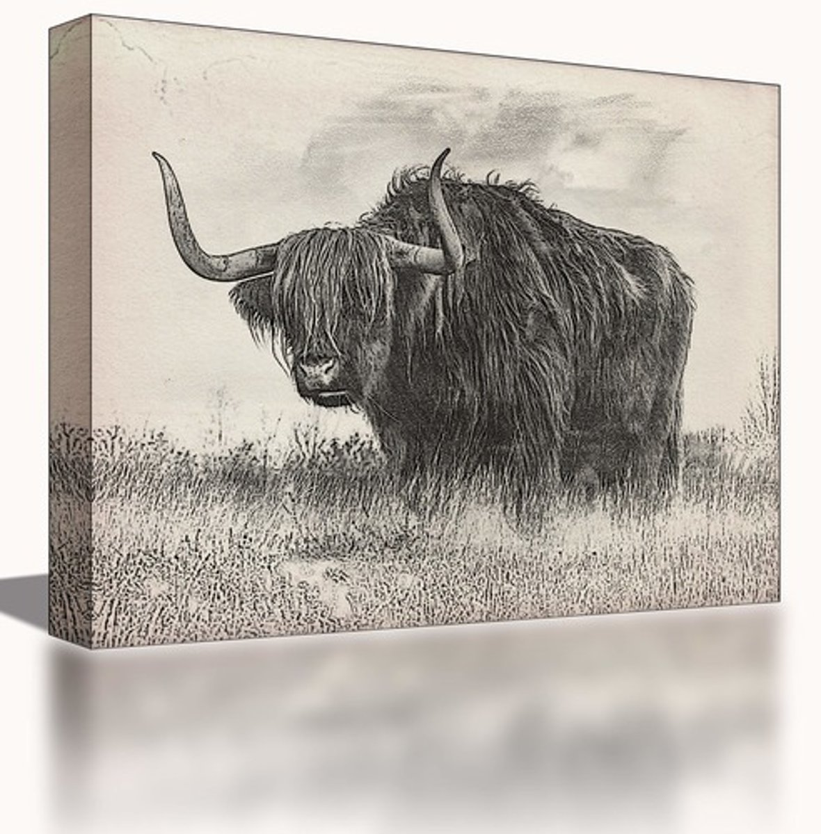 <p>es la imagen terminada que el artista crea usando lápiz.</p>