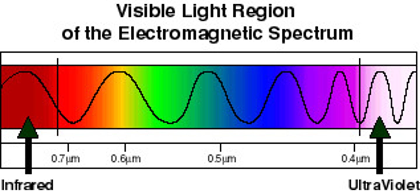 <p>Electromagnetic radiation that can be seen with the unaided eye</p>
