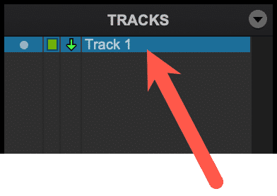 <p>The track shown here is a(n) _______________ track.</p>