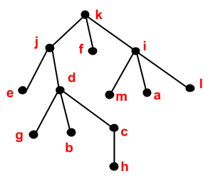 <p>What is the height of the tree shown below?</p>