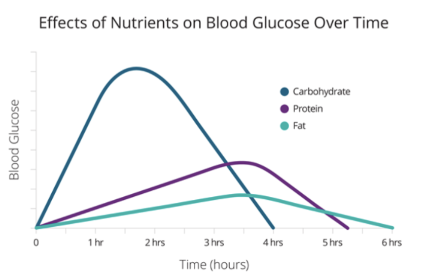 <ul><li><p><span style="background-color: transparent;">Carbohydrate is most responsive and most exposure to glucose - short term</span></p></li><li><p><span style="background-color: transparent;">Protein and fat - delayed response</span></p></li><li><p><span style="background-color: transparent;">Fat affects blood glucose the least&nbsp;</span></p></li><li><p><span style="background-color: transparent;">Ketogenic diet is based on this - 70% of all calories coming from fat to reduce blood glucose and reduce insulin usage&nbsp;</span></p></li></ul><p></p>