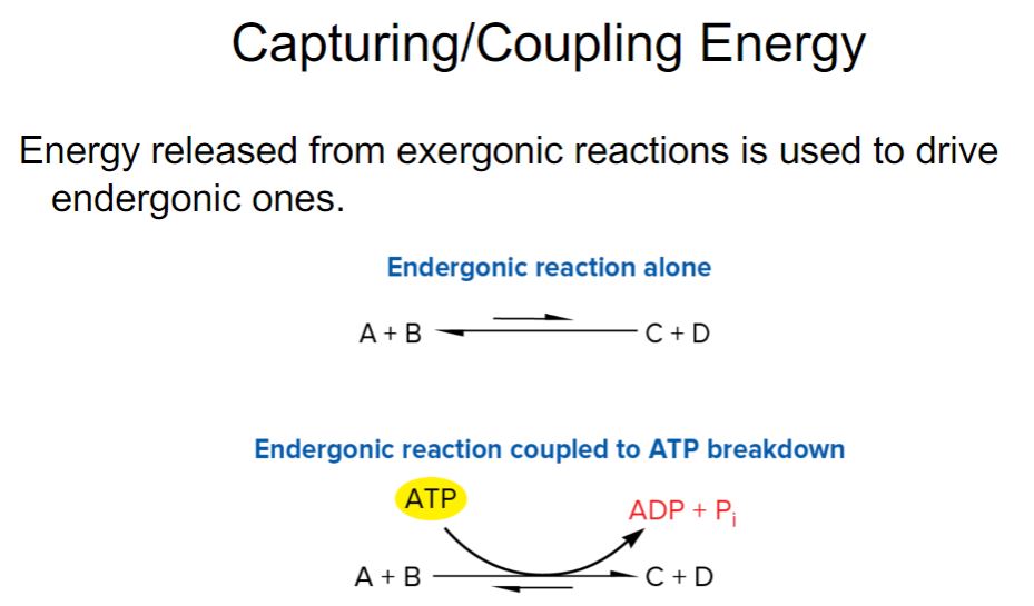 <p>Capturing/Coupling energy</p>