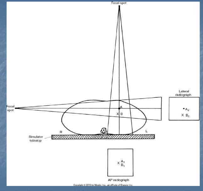 <p>orthogonal x-rays images</p><ul><li><p>A/P and lateral images to gain A/P, Sup/Inf and lateral information</p></li></ul><p></p>