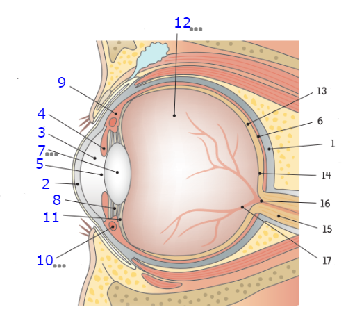 <p>4</p>