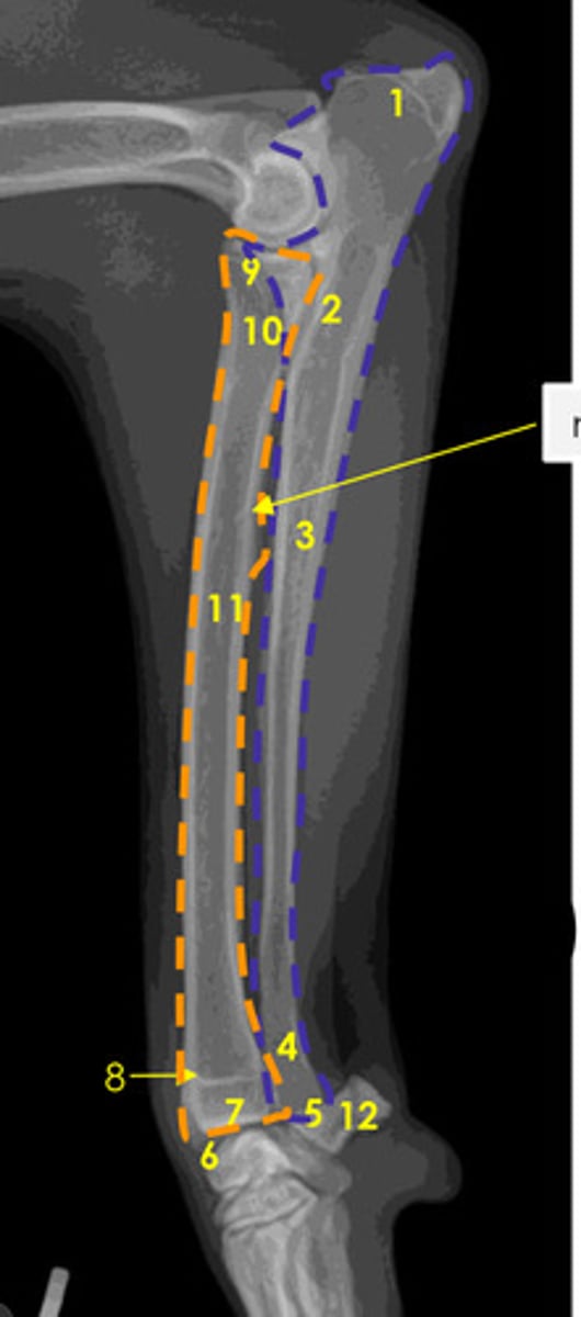 <p>What is number 7?</p>