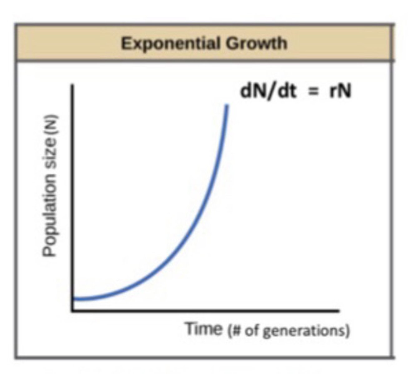 <p>- Rate of increase is constant</p><p>- There are more new individuals that are being produced per unit time when population is large than when its small</p>