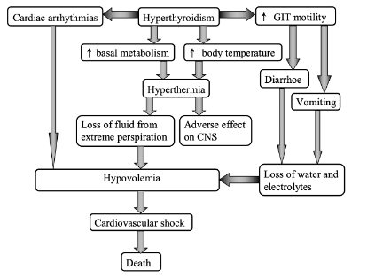 <p><span><strong>Thyroid storm/thyroid crisis =</strong> exacerbation of hyperthyroidism, acute life-threatening hypermetabolic state, may be initial presentation of thyrotoxicosis.</span></p><p class="MsoNormal"><span>&nbsp;</span></p><p class="MsoNormal"><span><u>Mechanism of development:</u></span></p><p class="MsoListParagraphCxSpFirst"><span>·</span><span style="font-size: 7pt; font-family: &quot;Times New Roman&quot;">&nbsp;&nbsp;&nbsp;&nbsp;&nbsp; </span><span>Hyperthyroidism → increased basal metabolism and increased body temperature, increased GIT motility, cardiac arrhythmias</span></p><p class="MsoListParagraphCxSpMiddle"><span>·</span><span style="font-size: 7pt; font-family: &quot;Times New Roman&quot;">&nbsp;&nbsp;&nbsp;&nbsp;&nbsp; </span><span>Increased metabolic rate and temperature → hyperthermia → loss of fluid from extreme perspiration and adverse effects on CNS → hypovolemia → cardiovascular shock → death</span></p><p class="MsoListParagraphCxSpMiddle"><span>·</span><span style="font-size: 7pt; font-family: &quot;Times New Roman&quot;">&nbsp;&nbsp;&nbsp;&nbsp;&nbsp; </span><span>Cardiac arrhythmias → hypovolemia → cardiovascular shock → death</span></p><p class="MsoListParagraphCxSpLast"><span>·</span><span style="font-size: 7pt; font-family: &quot;Times New Roman&quot;">&nbsp;&nbsp;&nbsp;&nbsp;&nbsp; </span><span>Increased GIT motility → diarrhea, vomiting → loss of water and electrolytes → hypovolemia cardiovascular shok → death</span></p>