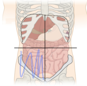<p>what is the shaded region called?</p>