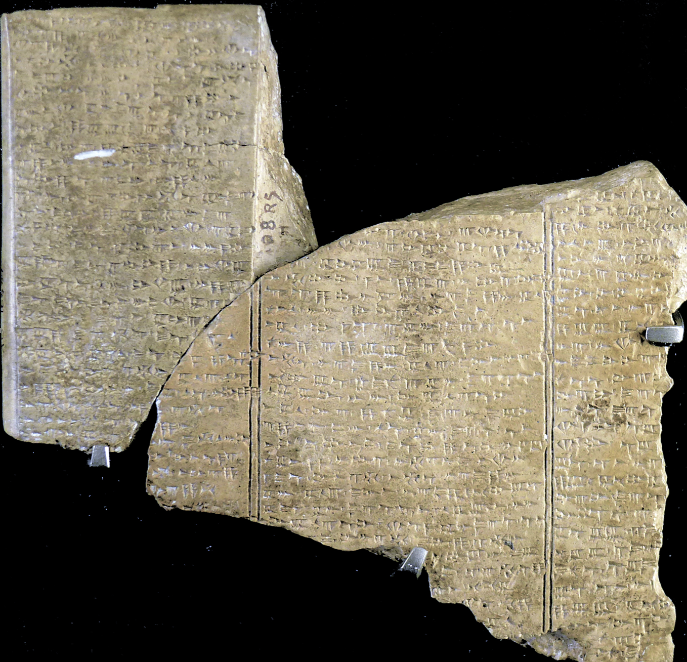 <p>16</p>