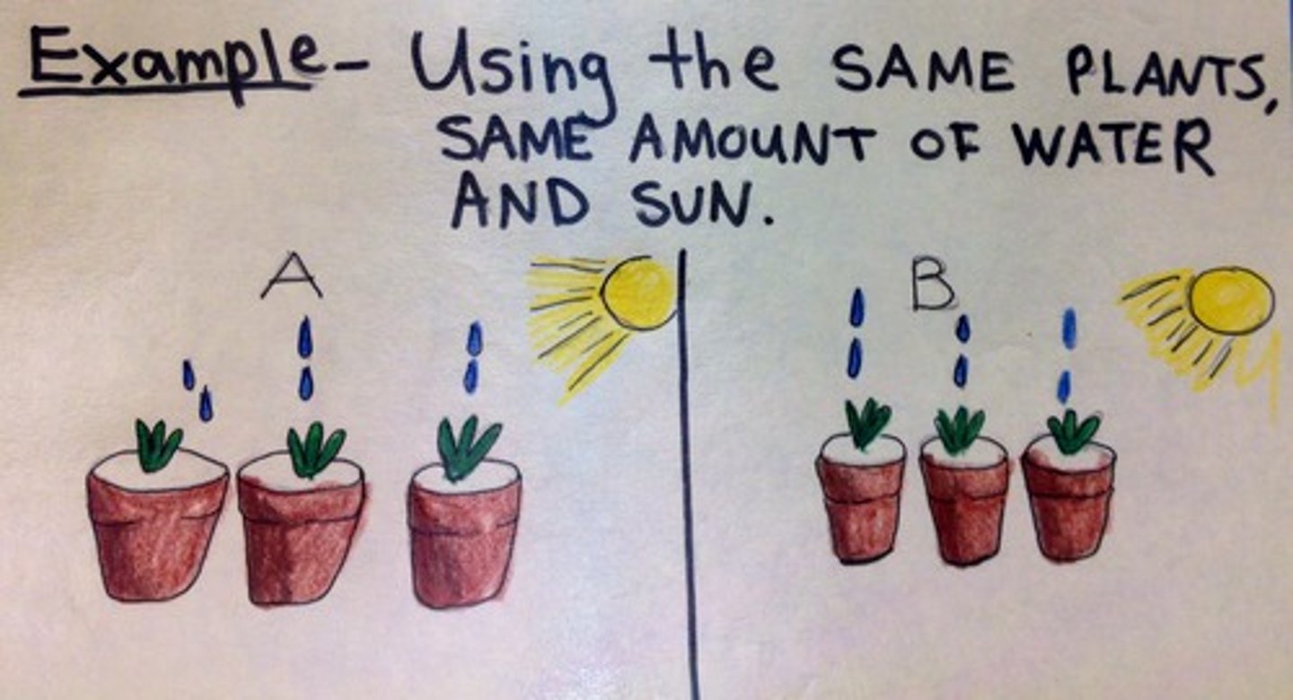 <p>remain constant across experiments</p>